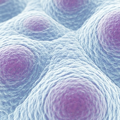 Microscopic view of healthy bone marrow cells, highly detailed, medical illustration